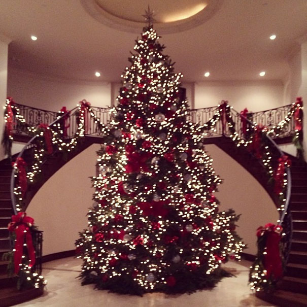 Jenner Christmas Tree