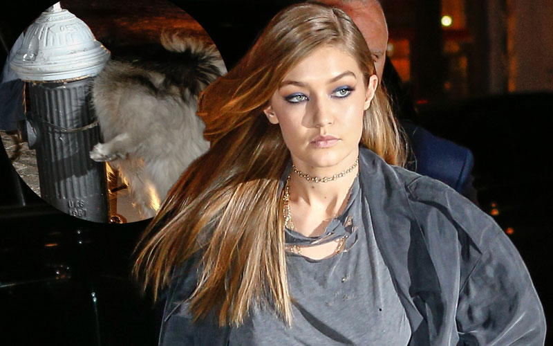 Gigi Hadid Nearly Suffers A Wardrobe Malfunction With Dog